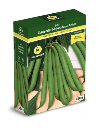 Semilla de Judia Contender Mejorada sel. Antea 250g