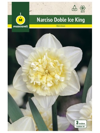 Narciso Ice King