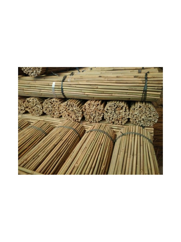 Tutor Bambu Natural 0,60m/8-10mm