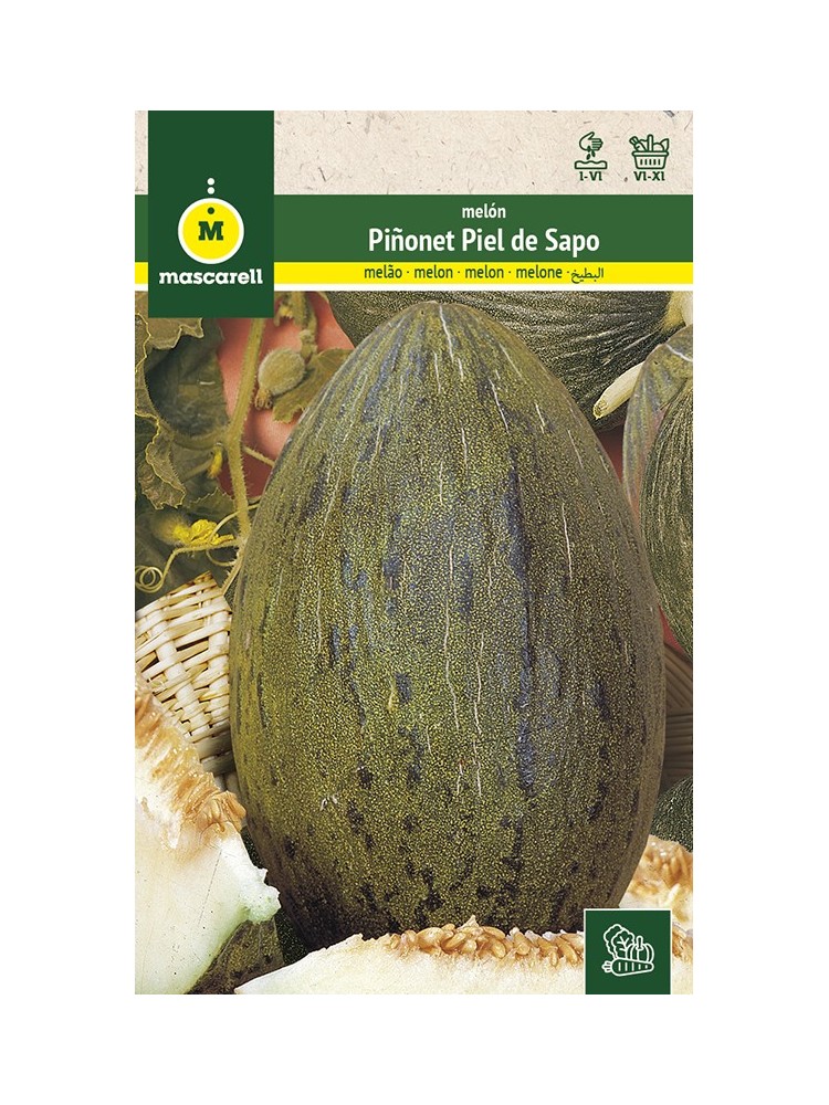 Semillas de Melon Piñonet Piel de Sapo 25g