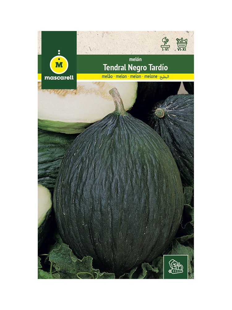 Semillas de Melon Tendral Negro Tardio 25g