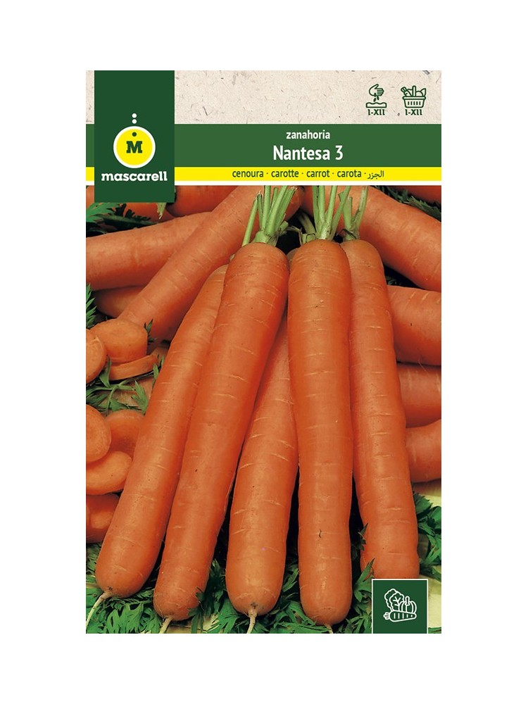 Semillas de Zanahoria Nantesa 3 25g