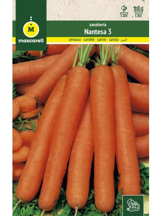 Semillas de Zanahoria Nantesa 3 25g